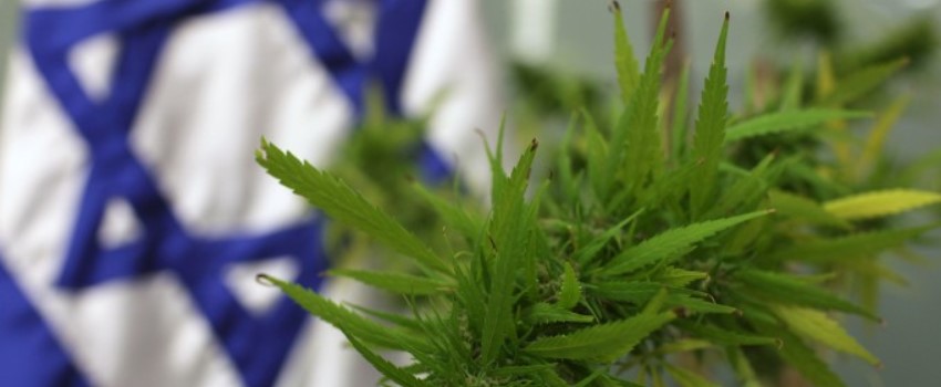 Delay in Approval of Medical Marijuana Exports
