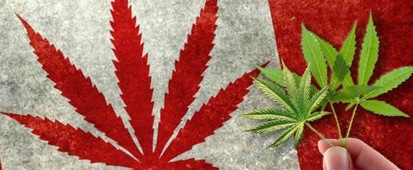 Legalization of Marijuana in Canada