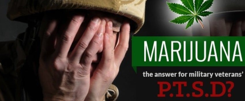 medical strain for mitigating the symptoms of PTSD