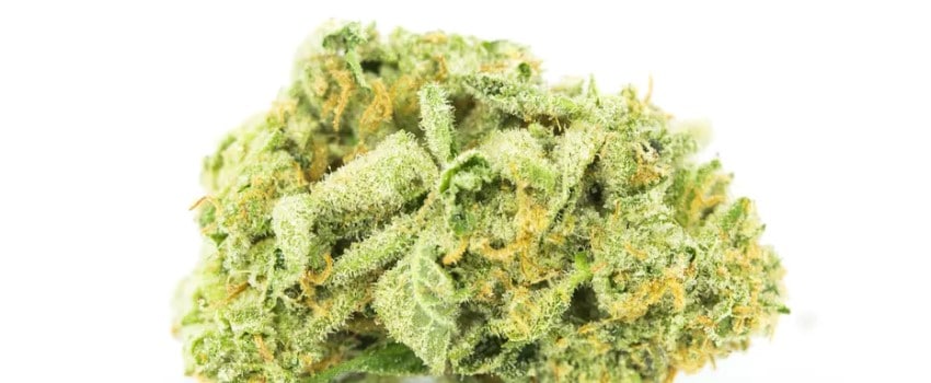Kraken Medical